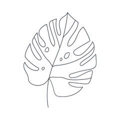 Monstera leaf line art