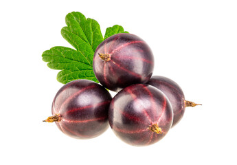 A small heap of gooseberries berries with leaves, isolated on white background.
