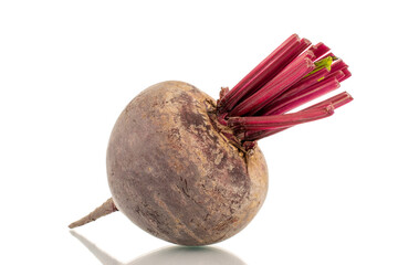 One sweet red beet, close-up, on a white background.