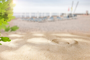 Beach sand with sun shadows and an open space on a lovely hot holiday day