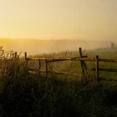fence in the morning