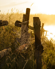fence in the field at sunrise