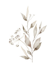 Watercolor bouquet with wild plants and flowers. Meadow dried wildflowers. Elegant ethereal nature, floral arrangements