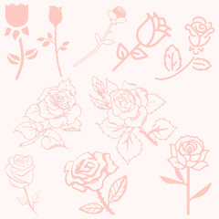 pattern of roses, illustrations rose pattern with pink background. 