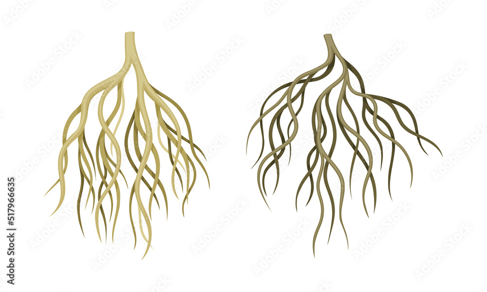 Aufkleber branching root as tree part below the surface of soil vector set