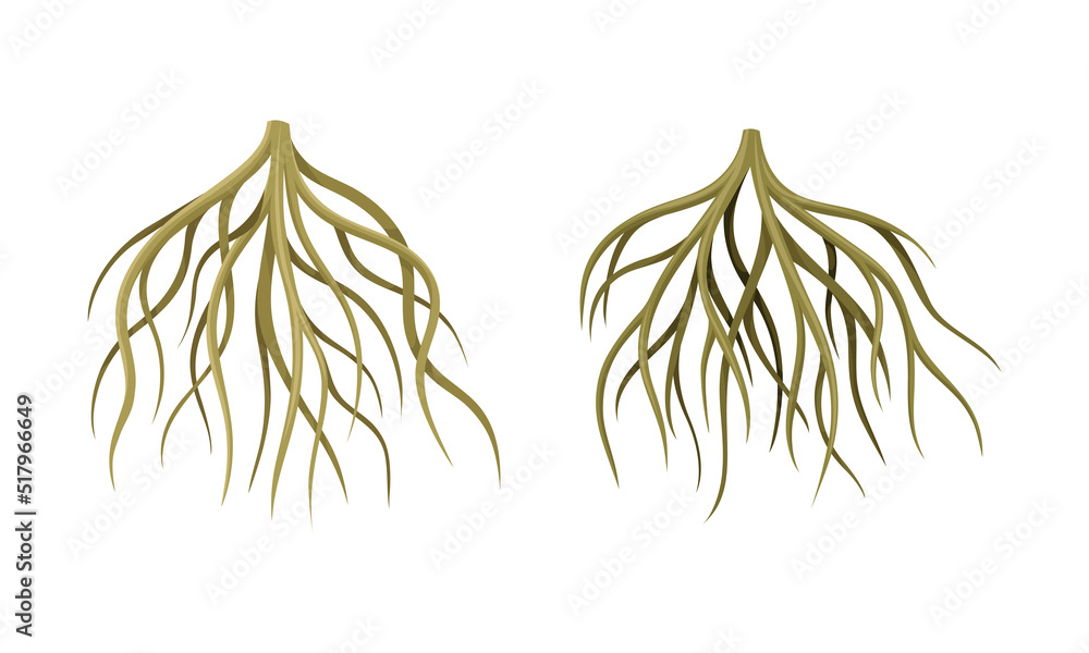 Poster branching root as tree part below the surface of soil vector set