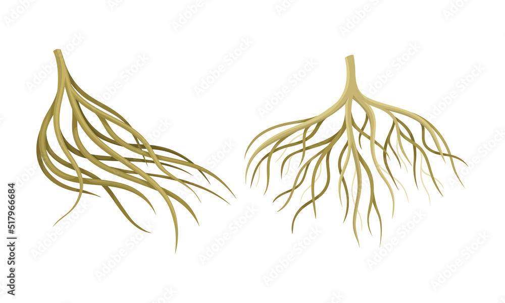 Poster branching root as tree part below the surface of soil vector set