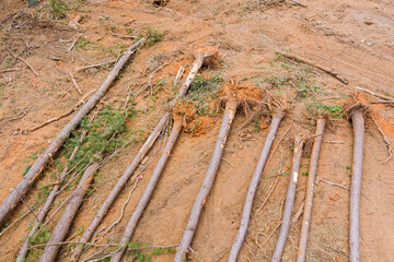 It is cleared land for new development by cleaning the landscape of construction site with trees...