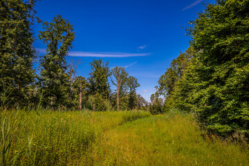 Obraz premium zwischen Mühlacker und Maulbronn