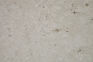 This is a light limestone slab with traces of shells. Shell rock texture. Natural stone background