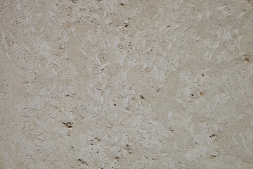 This is a light limestone slab with traces of shells. Shell rock texture. Natural stone background