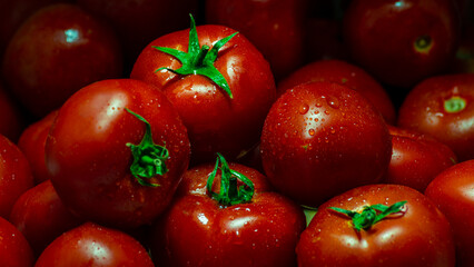 Fresh Red Tomato background Water Droplets, vegetable harvest on organic farm Group, studio indoor, Close-Up Of Wet Ripe At Market