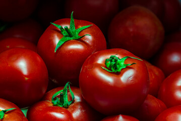 Fresh Red Tomato background Water Droplets, vegetable harvest on organic farm Group, studio indoor, Close-Up Of Wet Ripe At Market