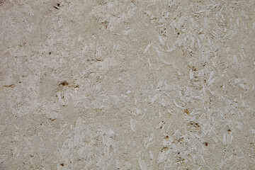 This is a light limestone slab with traces of shells. Shell rock texture. Natural stone background