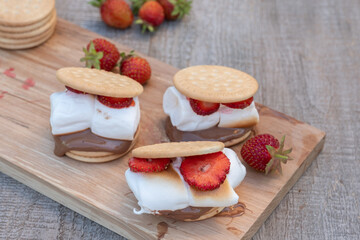 Picnic dessert smores with marshmallow, graham crackers, strawberry and chocolate