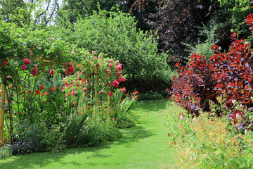 vibrant foliage with pink and red blossoms growing in garden borders.