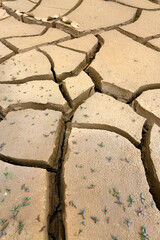 Ausgetrockneter Boden mit Trockenrissen // Parched soil with drying cracks