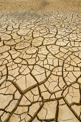 Ausgedörrter Boden mit Trockenrissen// Parched soil with drying cracks