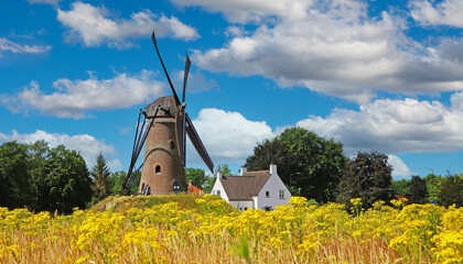 Beautiful dutch rural countryside landscape, field with yellow flowers, traditional windmill, blue...