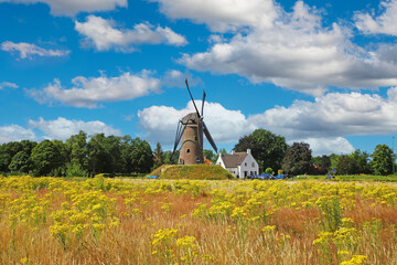 Beautiful dutch rural countryside landscape, field with yellow flowers, traditional windmill, blue summer ska fluffy white clouds - Nuenen, Netherlands © Ralf