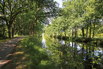 Beautiful idyllic scenic cycling bike path along dutch water canal, green forest, rural landscape - Eindhoven Kanaal, Netherlands