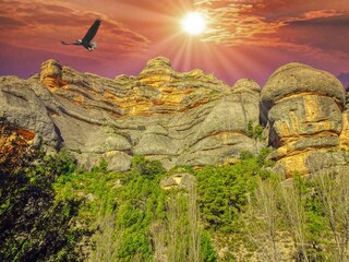 Serra del Montsant -Fregarau i rapinyaire - Priorat