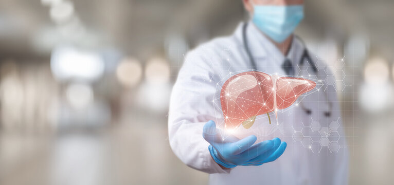 Showing liver on virtual computer screen.