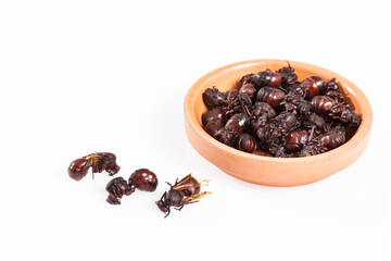 Ants culonas Typical Gastronomy of Santander Colombia; Photo White Background
