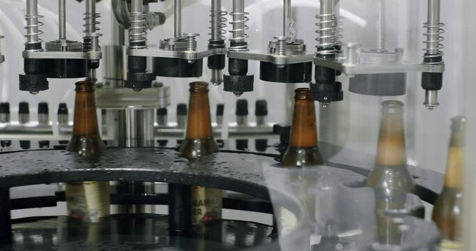Capping process of full beer bottles. Machine for capping bottles. Factory, brewery concept. Beer bottles on automated machine during capping process. Video of beer bottles moving on a conveyor belt.