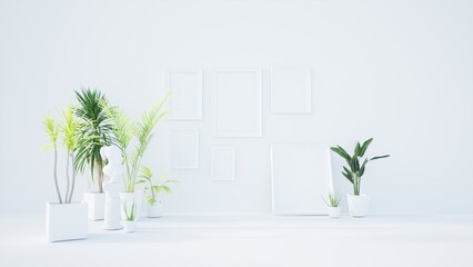 empty white room interior with classic picture frames, tropical home plants on the floor