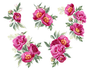 Rosa Pfingstrosen-Aquarellblumen. Blumenarrangement für Karte, Einladung, Dekoration. Abbildung isoliert auf weißem Hintergrund
