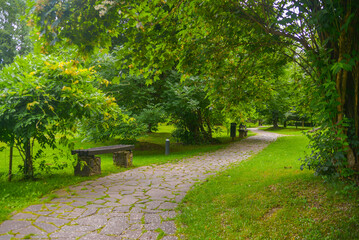 alley in the park old castle 