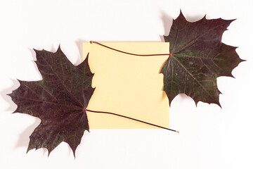 Autumn dry leaves background. Flat lay. With copy space.