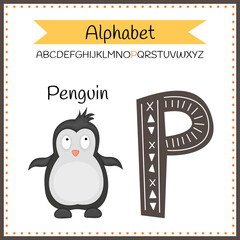 illustration of isolated animal Alphabet Letter P is for Penguin cartoon alphabet