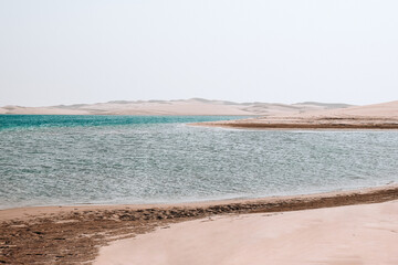 Qatar desert and oasis in the middle