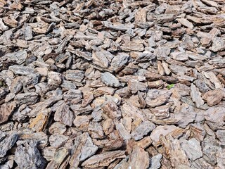 scenic view of natural bark texture