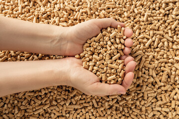 Woman hands hold wooden pellets. Handful of wood pellet fuel in a person hands. Organic biofuel...