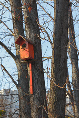 Birdhouse on the tree . Wooden nest for birds 