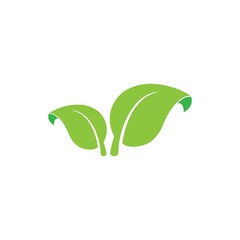 leaf icon logo vector design template