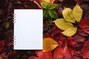 Mock up with blank sheet of paper and autumn colorful leaves close-up. Template for design, greeting card or invitation, copy space. Natural pattern. Top view, flat lay