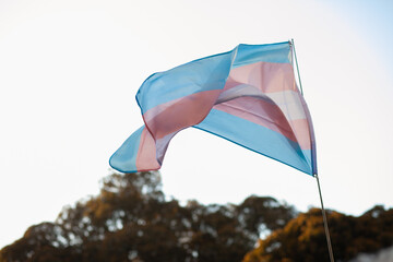 Transgender flag having five horizontal stripes of three colors—light blue, pink and white at Pride parade. Symbol of Rights of transgender people