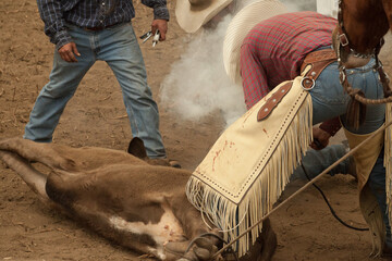 Ranch Cowboy Horse Riding & Livestock
