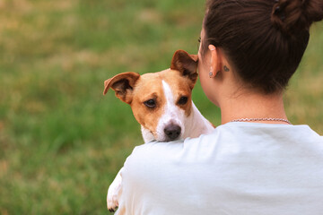 Woman in casual clothes hugging her favorite fluffy trained purebred Jack Russel Terrier dog...