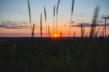 landscape photography sunrise in a wheat field