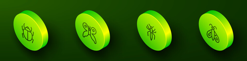 Set Isometric line Mite, Butterfly, Spider and icon. Vector