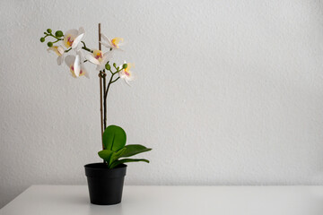 White faux orchid in the pot stands on the white table on the white wall background. Home decoration elements