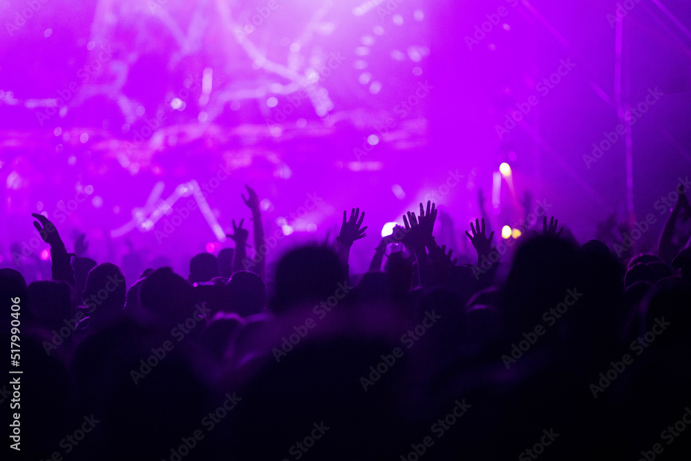 Wall mural crowd at concert - summer music festival