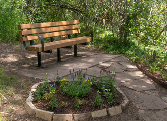 Bench Shaded from Trees with Little Round Garden in Foreground