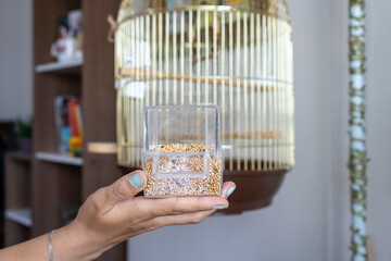 Budgerigar feeder, Hand-held parakeet food and feeder, with blurred cage in background, selected focus