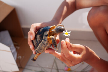 g with turtle, lifestyle people concept